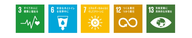 Sustainable Development Goals (SDGs)